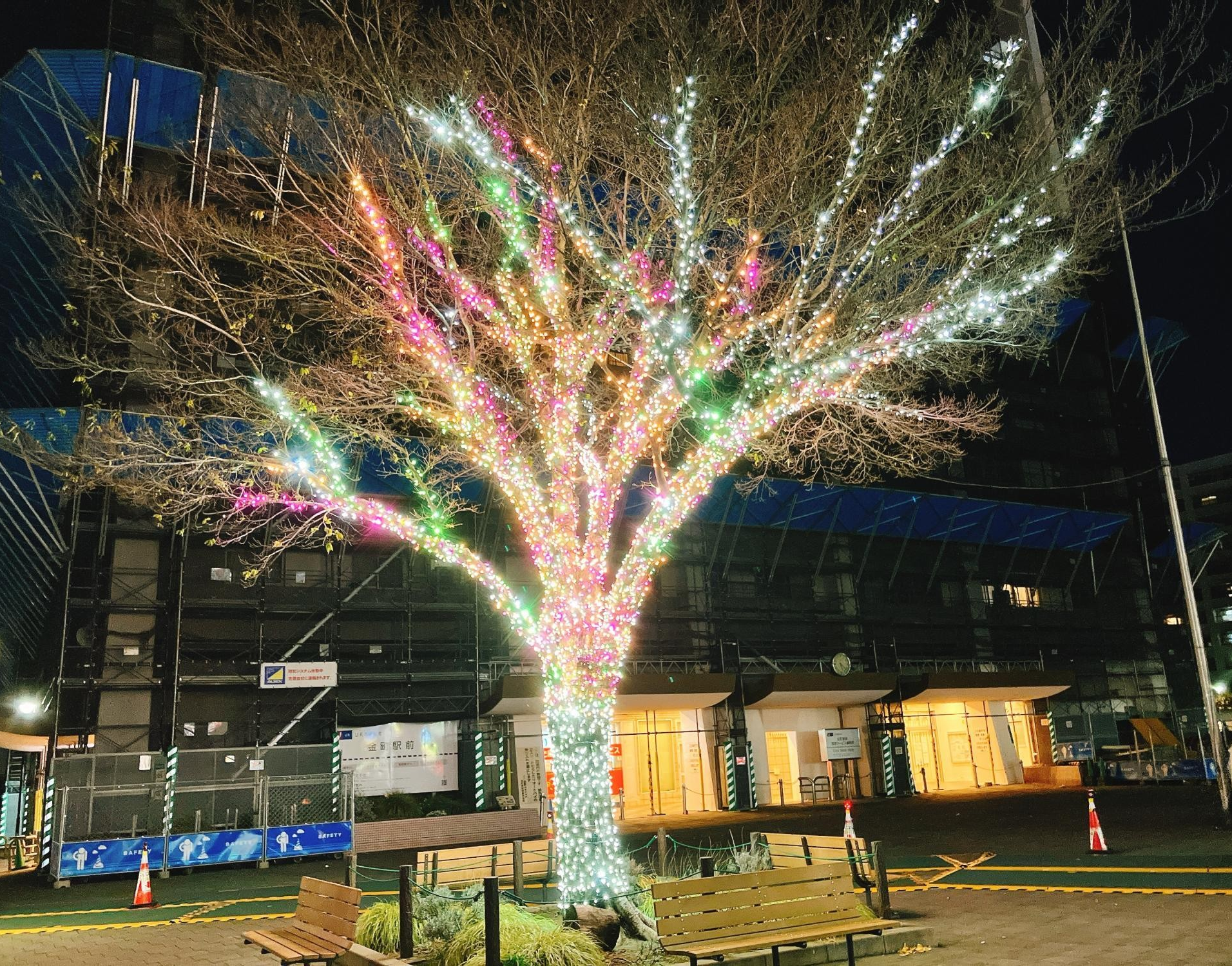2025金町イルミ③