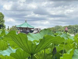 大川③